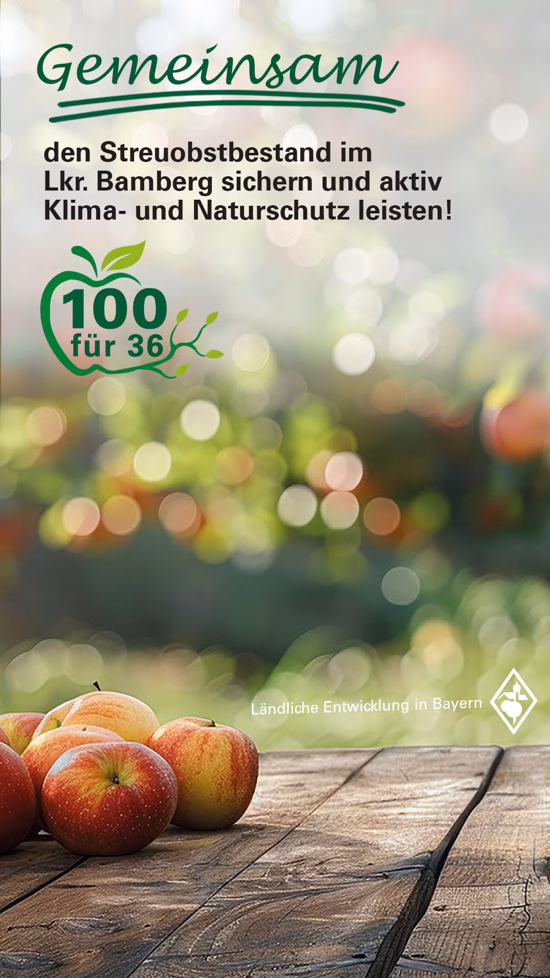 Aktion „100 für 36“ - 100 Streuobstbäume für unsere Gemeinde